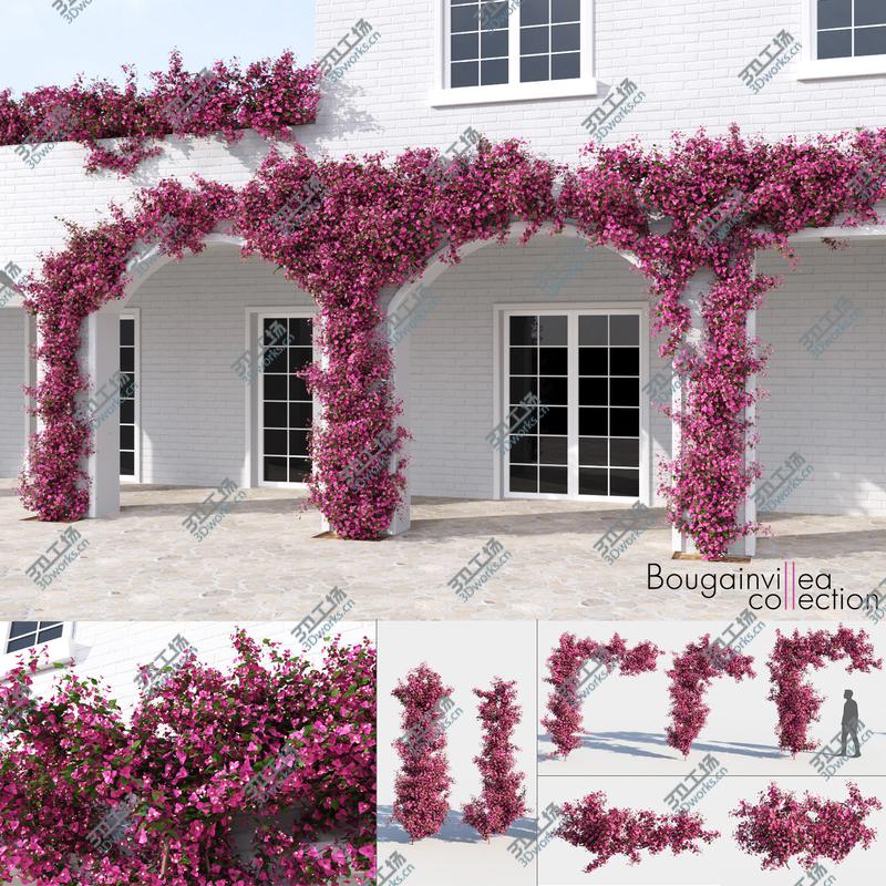 images/goods_img/202104092/3D Bougainvillea Collection (-GrowFX) model/1.jpg